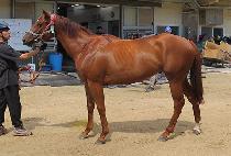 �����¡���� (AMAZING BLUE) ����