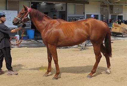 �����¡���� ����