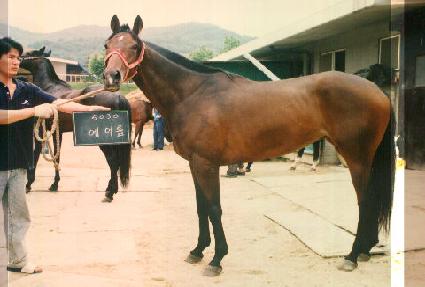 ����� ����