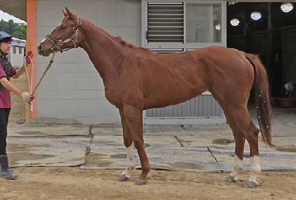 �ö��׶��̾� ����