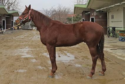 ��Ͻ�Ÿ ����