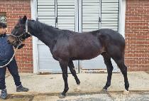 ���Ĺ� (WELCOME BACK) ����