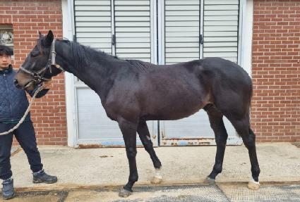 ���Ĺ� ����