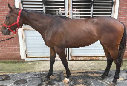 �������� ����