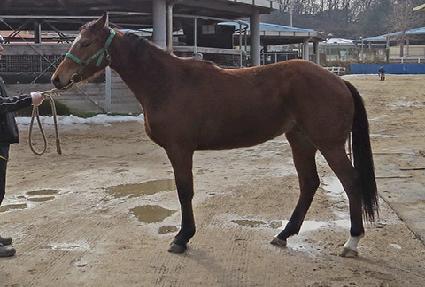 Ŀ�ǵ���� ����