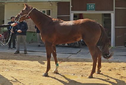 ������Ƽ ����