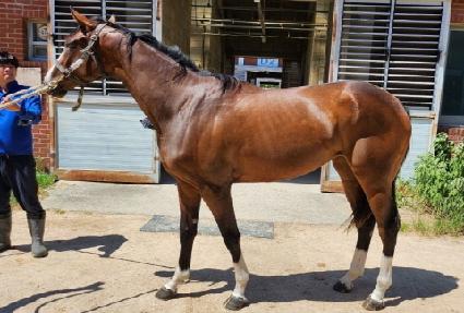 ������ǴϽ� ����