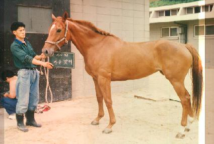 �������� ����