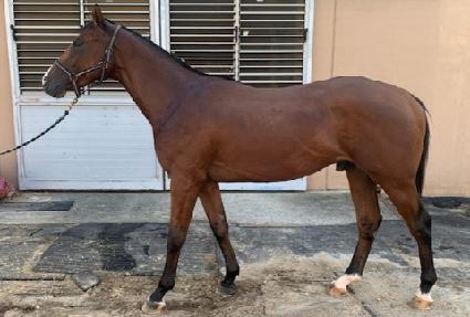 �������� ����