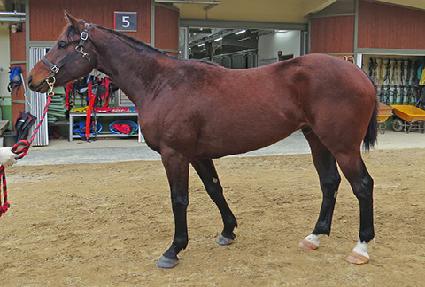 �����ö��� ����