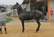 ����ī���� (BAZOOKA BOY) ����