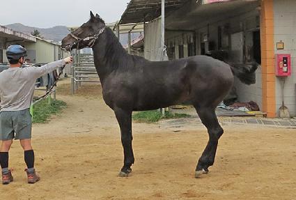 ����ī���� ����