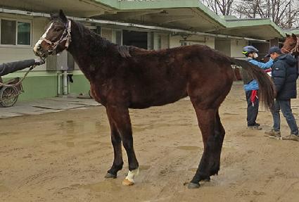 ��ϱ�� ����