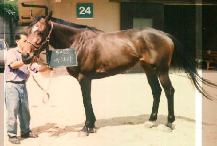 ���� ����