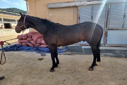 �����ö��� ����