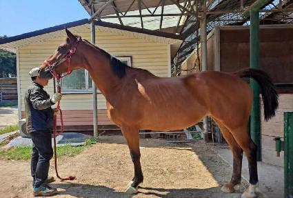 ��ġ������ ����