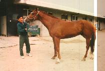 �¾簡���� (TAE YANG GA DEUK HEE) ����