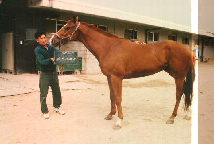 �¾簡���� ����