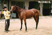 ���������� (SURPRISE) ����