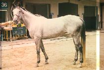 ���� (NUN KOT) ����