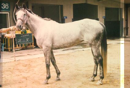 ���� ����