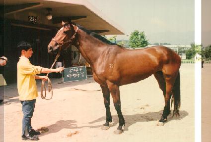 �����ٰ� ����