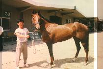 ���� (DOK JON) ����