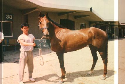 ���� ����