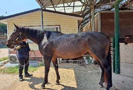 ���Ǹ�Ƽ��̽� ����