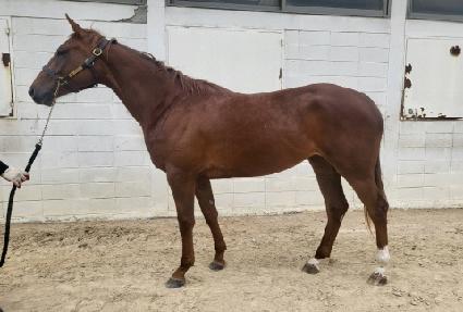 �ݾƸ����̽� ����