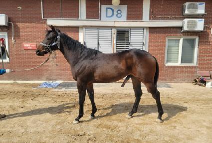 ������Ÿ�� ����