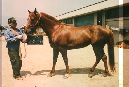 �ξ����� ����