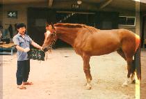 �ڰ��� (JA GYEUK JEUNG) ����