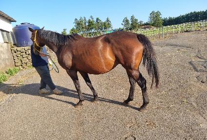 ������������� ����