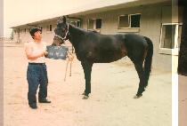 �Ź��� (KEU MUN DO) ����