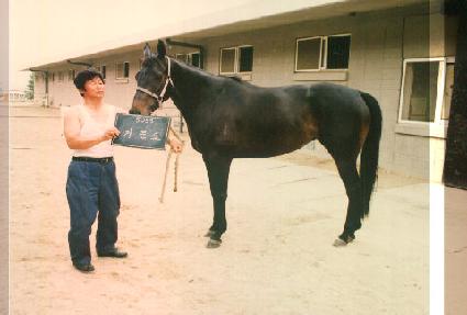 �Ź��� ����