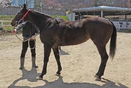 ���̾�� ����