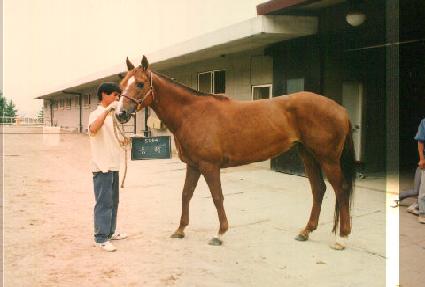 ���� ����