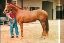 �ظ�� (HAE MO SOO) ����