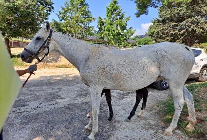 �������÷��� ����