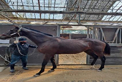 ������ ����