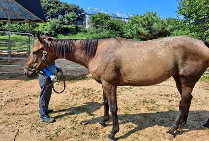 �����Ϳ���Ƽ ����