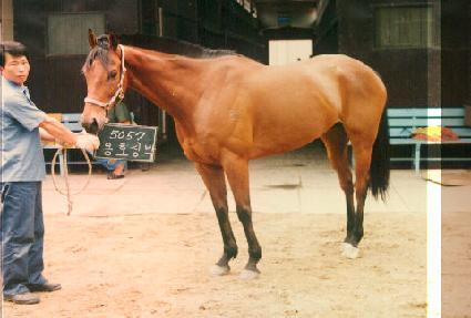 ��ȣ��� ����