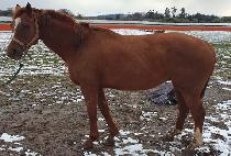 �ü��� (TAXABLE) ����