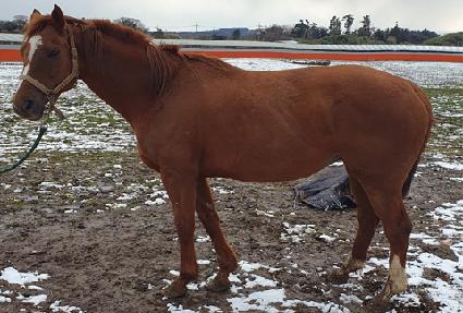 �ü��� ����