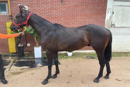 �ƽ�ŷ�� ����