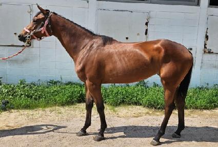 �ƽ������� ����