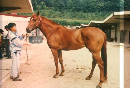 ������ ����