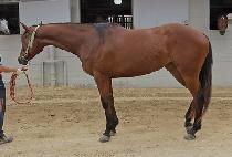 Ƽ���йи� (T.C FAMILY) ����