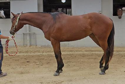 Ƽ���йи� ����